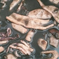 El cooksnap de isa cuando hizo Calamares en su tinta con arroz blanco.