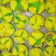 Cooksnap dari Murniati Sudiro untuk resep Bolu Kukus Mekar Tanpa Air Soda