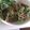 Cooksnap dari Nurina Widyastutie untuk resep Keripik Bayam Kriuk (Crispy Spinach)
