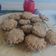 El cooksnap de Maria Lyda cuando hizo Galletas SIN HARINA!  Avena y coco.