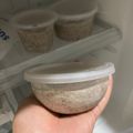Cooksnap dari Selly Christina untuk resep Es krim oreo