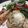 isti.zaharia's cooksnap of when they made mushroom spagetti.
