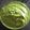 Darshana Patel's cooksnap of when they made Palak chutney.