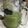 Génesis Sanchez's cooksnap of when they made Green Apple And Cucumber Juice.