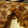 El cooksnap de Noemí Guillamón cuando hizo Pastela marroquí de pollo.