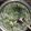 Cooksnap dari Bunda Isti untuk resep Lodeh daun kenikir