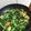 Cooksnap dari safira fhutri untuk resep Ca pokcoy tofu