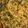 Sadaf Shoaib Vohra's cooksnap of when they made Bhindi masala.