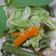 Cooksnap dari Tri Umiatik untuk resep Urap Minimalis
