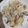 Cooksnap dari nn untuk resep Spaghetti Creamy Mushroom #dapurwiwin 👩🏻‍🍳