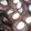 Cooksnap dari Rosi untuk resep Mini Brownies kering