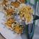 Cooksnap dari Oni One untuk resep Dimsum Ayam Wortel