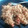 El cooksnap de Daniel Fernández cuando hizo Arroz al horno con trompetas y torreznos.