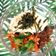 Cooksnap dari Haura Risa II untuk resep Bibimbap untuk yang lagi diet