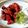 Cooksnap από Pomegranate στη συνταγή Επιδόρπιο με κυδώνια