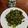 Cooksnap dari Nia Novianti untuk resep Dendeng cabe ijo