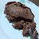 El cooksnap de Giani Viola cuando hizo Torta de chocolate y avena en el micro.