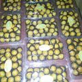 Cooksnap dari Erfi Ana untuk resep Nastar Classic nan Kinclong
