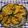 KALPA's cooksnap of when they made પાત્રા (અળવી ના પાન વ્હીલ ભજિયા).