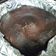 El cooksnap de Shirley cuando hizo Brownies.