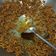 Cooksnap dari Nur Bidar untuk resep Teri kacang pedas manis