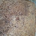 El cooksnap de marorarod cuando hizo Brownies de milo.