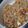 Cooksnap dari Kadina pawpaw untuk resep Nasi Goreng Kecombrang