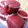 Meenat Kitchen's cooksnap of when they made Red velvet.