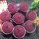 Cooksnap dari Melly_NoGoeslaw untuk resep Red Velvet Cupcake