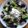 El cooksnap de @tesa.cuina cuando hizo Ensalada. (plato único,con postre incluido).