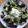 El cooksnap de @tesa.cuina cuando hizo Ensalada. (plato único,con postre incluido).