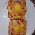 El cooksnap de monica COSTACHE cuando hizo Cena rápida en freidora de aire.