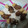 El cooksnap de Laura Martinez Hurtado cuando hizo Plátanos helados con chocolate y topping.