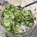 Lisa's cooksnap of when they made Gurkensalat mit Dilldressing.