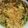 Cooksnap dari Maya Sri untuk resep Indomie (indofood) goreng combi sayuran+telur
