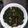 Cooksnap dari Benedict Erasmus untuk resep Sayur katuk busui