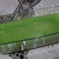 Cooksnap dari ria untuk resep Nagasari pisang uli loyang