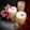 Madhvi Dwivedi's cooksnap of when they made Woodapple milkshake.
