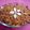 Vimmi Bhatia's cooksnap of when they made Dish name gajar ka halwa.
