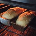 El cooksnap de Fer en la Cocina cuando hizo Pan tipo lactal casero.