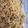 Pat Salstrand's cooksnap of when they made Pea & Mushroom Pasta.
