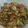 Cooksnap dari meli untuk resep Tumis Kerang Hijau Kupas