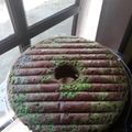 Cooksnap dari Anggit wijaya untuk resep Marmer Cake Pandan
