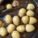 Cooksnap dari Kartika Tjevan untuk resep Sate Telur Puyuh Bacem