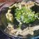 潔米兒 的 海帶菇菇高麗菜豆腐湯 cooksnap