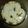 El cooksnap de YoOscar cuando hizo Tortilla de acelga horneada con queso rallado.