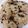 Cooksnap dari Dapur Antika untuk resep Vanilla Chocochips Cookies SUPERR KRESSSH