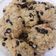 Cooksnap dari Dapur Antika untuk resep Vanilla Chocochips Cookies SUPERR KRESSSH