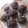 Cooksnap dari hareem alatas untuk resep Brownies Kukus in Cup