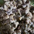 Cooksnap dari ade yulida untuk resep Ragout Chicken Mushrooms Low Carbs